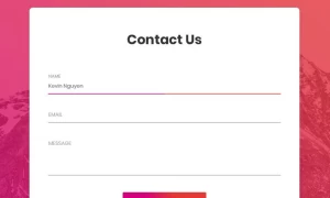 contact form