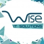 Wise LLC company