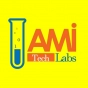 company Ami Tech Labs