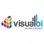 VISUAL BI SOLUTIONS company