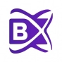 BlockchainX company