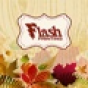 Flash Printing company