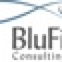 BluFish Consulting company