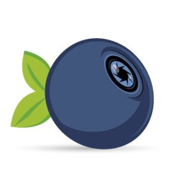 Bilberrry Profile, Contact, Price, Reviews Bilberrry logo