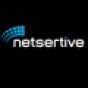 Netsertive company