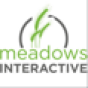 Meadows Interactive company