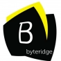 Byteridge logo