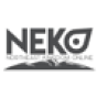 Northeast Kingdom Online company