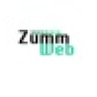 Zumm Web, LLC company
