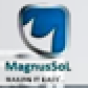 MagnusSoL LLC company