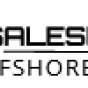 Salesforce Offshore Support company
