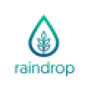 Raindrop Digital Limited company