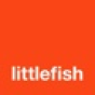 Littlefish Managed IT Services company