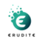 Erudite Digital Solutions company