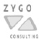 Zygo Consulting company