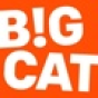 Big Cat Agency company