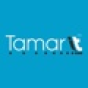 Tamar IT company