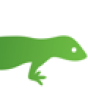 Green Gecko Digital company