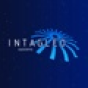 Intagleo Systems company