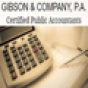 Gibson Company company