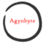Agynbyte LLC company