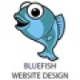 Post Falls Web Design by Blue Fish company