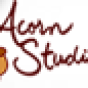 Acorn Studio company