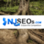 NJSEOs Website Design, SEO & PPC Agency company