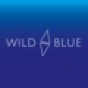 Wild Blue Digital company