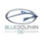Blue Dolphin Design & Engineering company