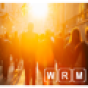 WRM Consulting Group company