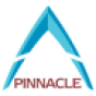 Pinnacle Consulting Group, Inc company