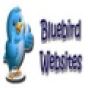 Bluebird Websites company