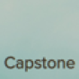 Capstone Accountancy, Inc. company