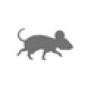 Cloudy Mouse company