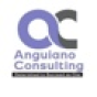 Anguiano Consulting Inc company