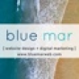 Blue Mar Web Design & Marketing company