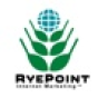 RyePoint Internet Marketing company