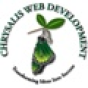 Chrysalis Web Development company