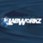 LabWorkz LLC company