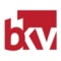 BKV company