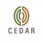 Cedar Management Consulting International logo