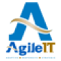 Agile IT company