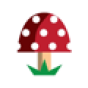 Fungi Marketing company