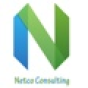 Netco Consulting company