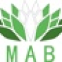 MAB Digital Marketing Agency company