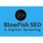 BlowFish SEO company