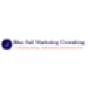 Blue Sail Consulting company