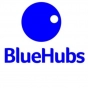BlueHubs Digital Marketing Agency company