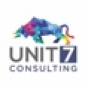 Unit 7 Consulting company
